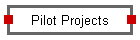 Pilot Projects